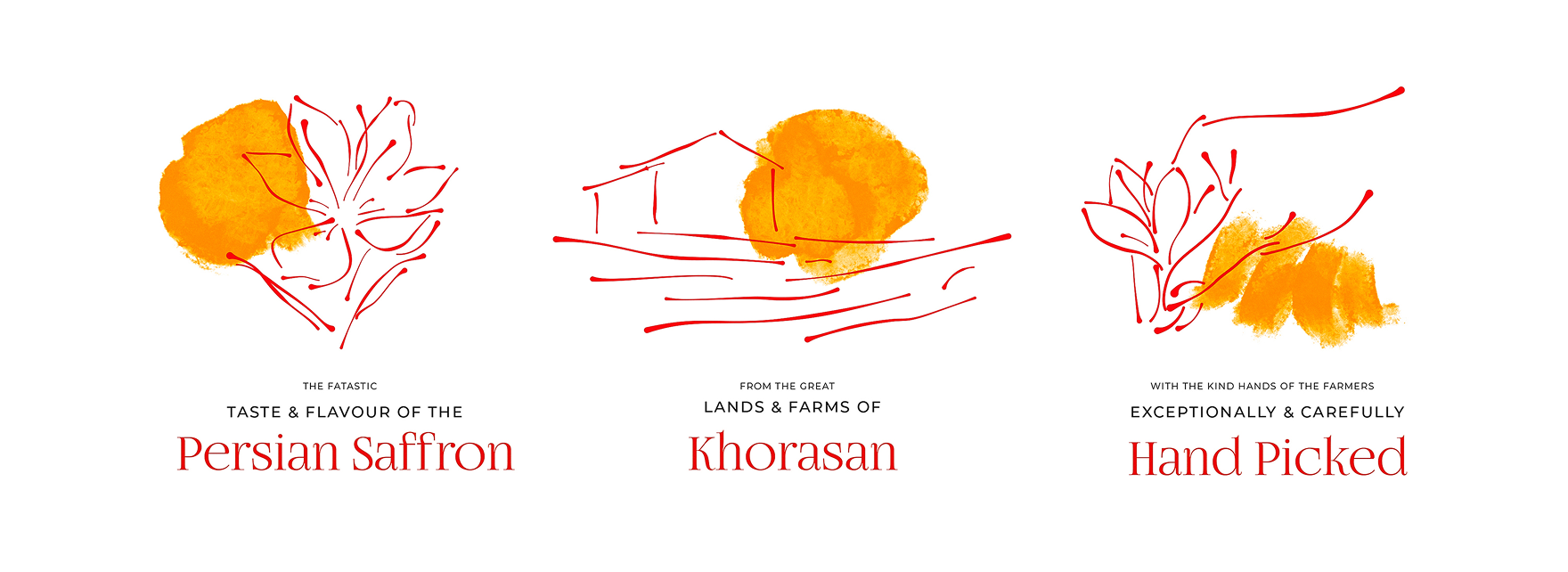 رویس الزعفران